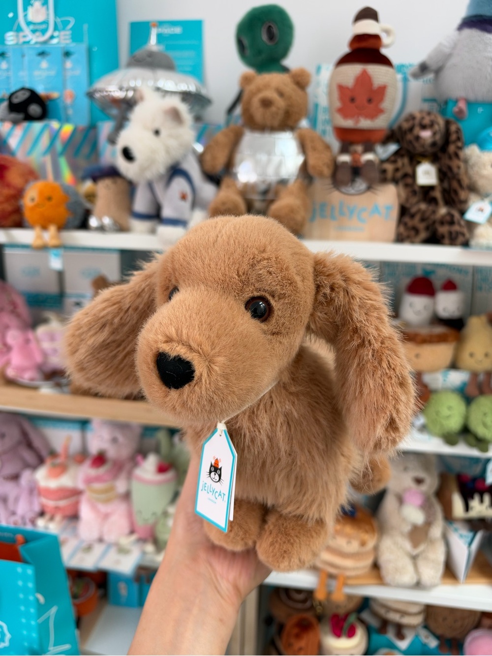 Jellycat Berlin Germany Jellyfest Exclusive Pecanie Sausage Dog. BNWT